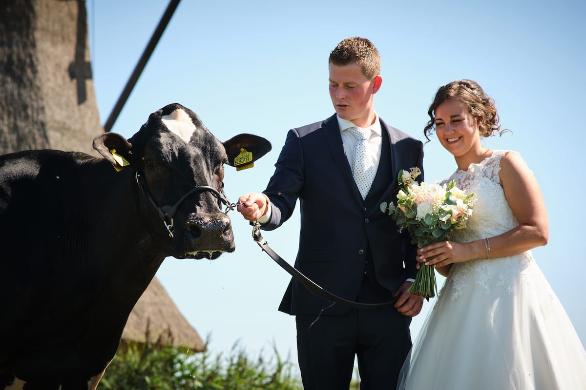 079 Bruiloft Johanna en Romke JSF