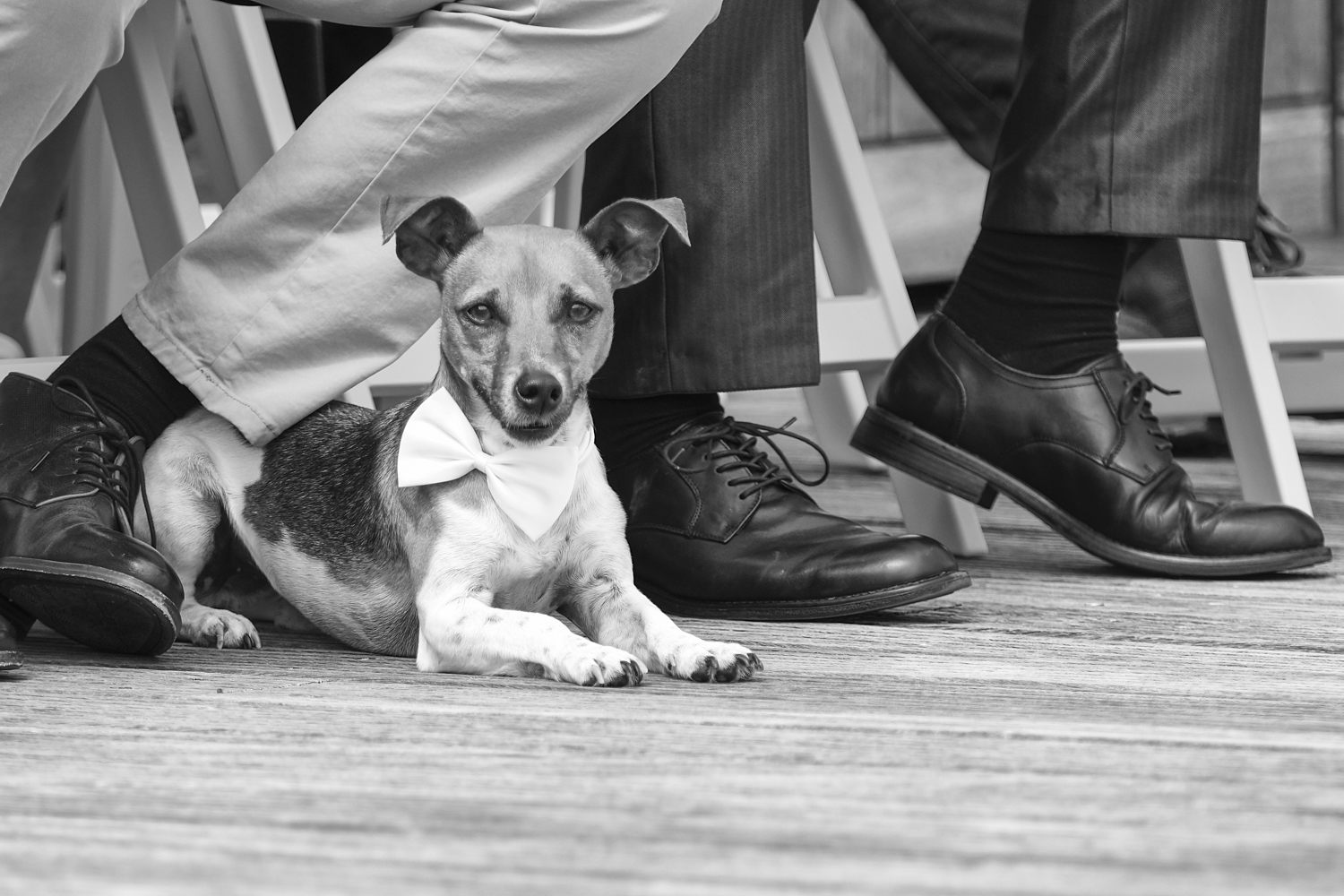 www.jolandasiemonsmafotografie.nl Jolanda Siemonsma Fotografie-trouwfotografie-huwelijksfotografie-bruidsfotografie